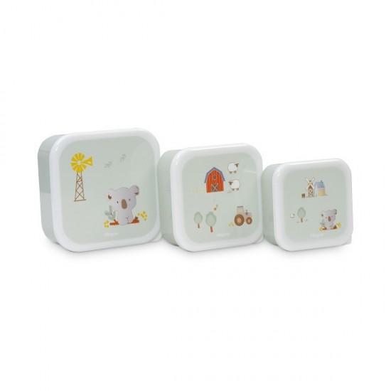 Interbaby Koala Σετ 3 Δοχείων Φαγητού (Lunch Boxes) Green
